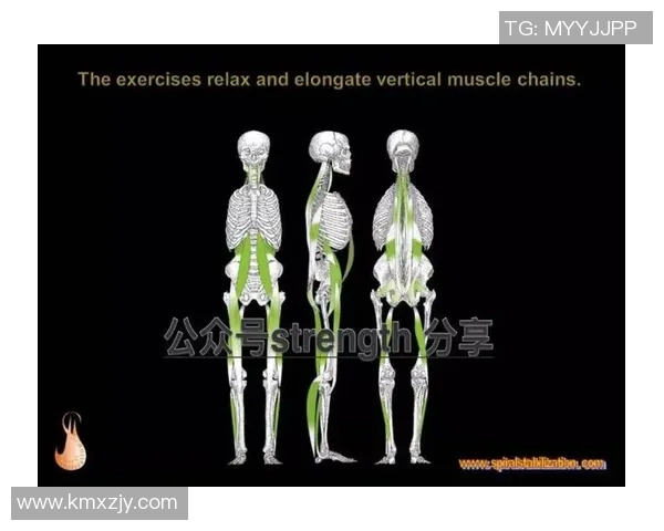 科学飞盘训练技巧与方法提升运动实力的全面指南